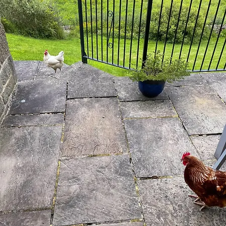 River View Pateley - Uk47337 펜션 *